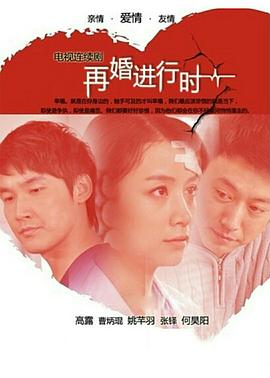 再婚进行时全集