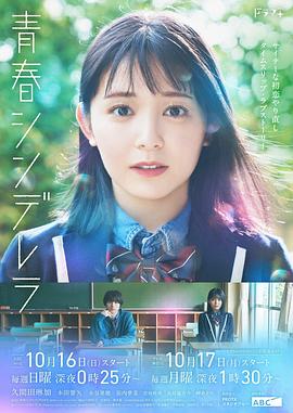青春灰姑娘全集