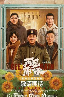 再见那一天全集