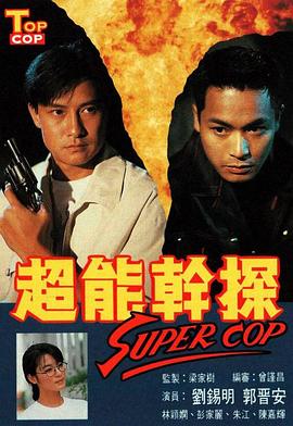 超能干探SuperCop国语全集