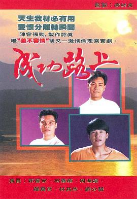成功路上国语全集