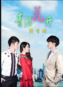 青涩花开终有时全集