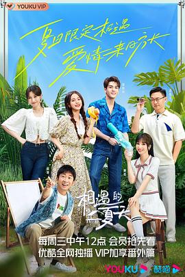 相遇的夏天全集