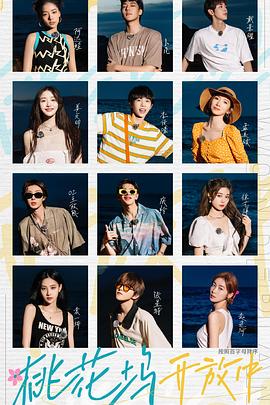 桃花坞开放中全集