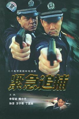 紧急追捕全集