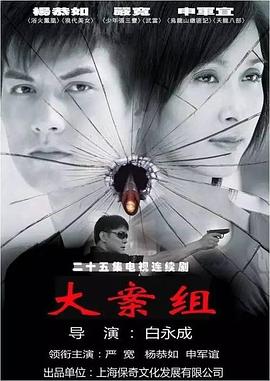 大案组全集