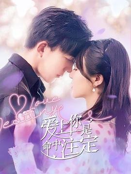 爱上你是命中注定全集