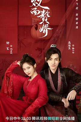 双面赘婿全集