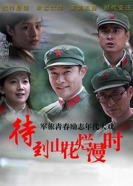 待到山花烂漫时全集