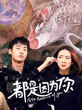 都是因为你全集