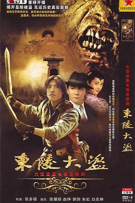 东陵大盗2008全集