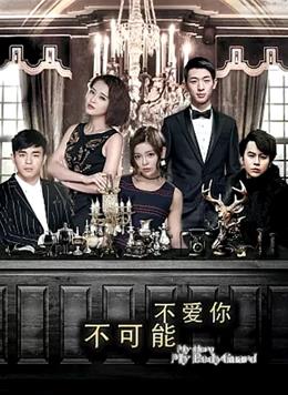 不可能不爱你全集