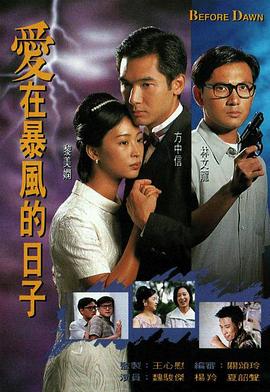 爱在暴风的日子国语全集