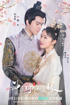 神探驸马请接嫁全集