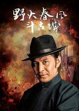 野火春风斗古城1995全集