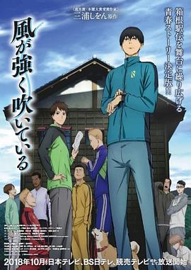 强风吹拂2018全集