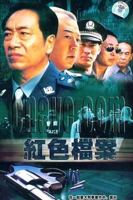 8.13重案组全集