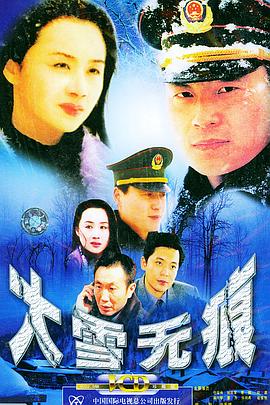 大雪无痕全集