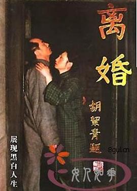 离婚全集