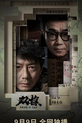 双探全集
