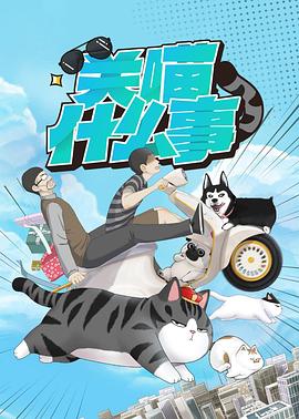 关喵什么事全集