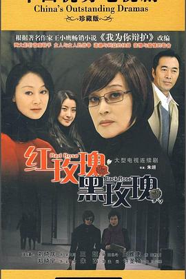 红玫瑰黑玫瑰全集