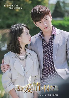 遇见爱情的利先生全集