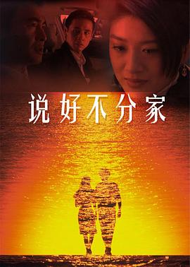 说好不分家全集