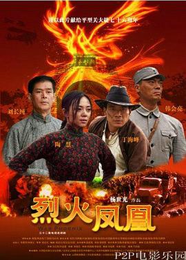 烈火凤凰全集
