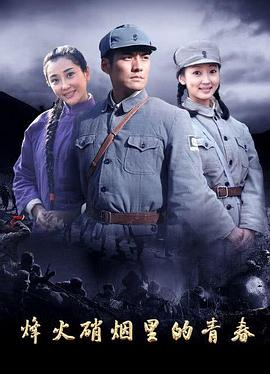 烽火硝烟里的青春全集
