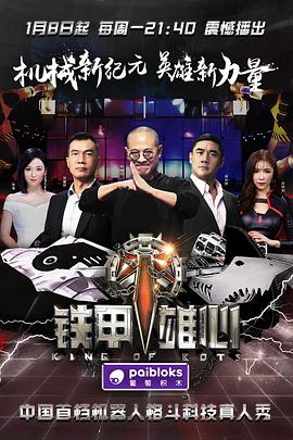 铁甲雄心全集