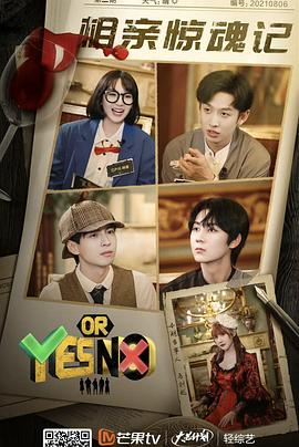 YES OR NO全集