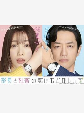 部长和社畜的恋情令人着急全集