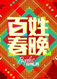 百姓春晚2013全集