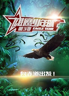 雄鹰少年队第三季全集