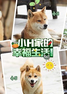 小H一家全集