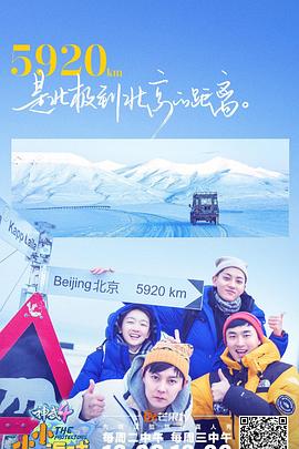 小小的追球全集