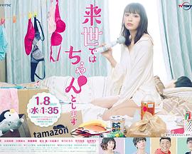 下辈子我再好好过第一季全集