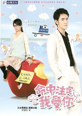 命中注定我爱你2008全集