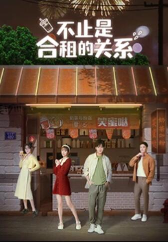 不止是合租的关系全集