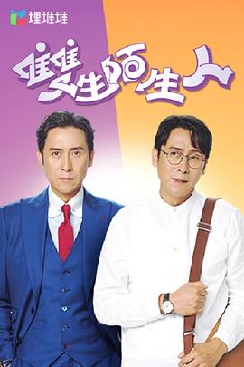 双生陌生人粤语全集
