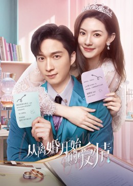 从离婚开始的爱情全集