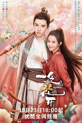一念花开全集