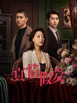 真情假爱2023全集