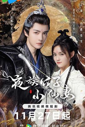 夜族公子小仙妻全集