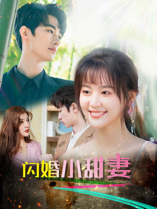 闪婚总裁小娇妻全集