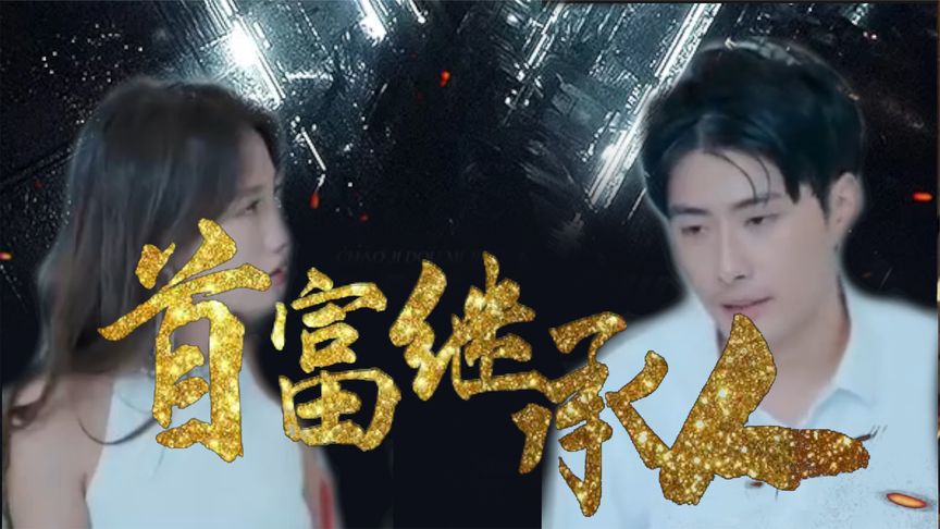 我是首富继承人全集