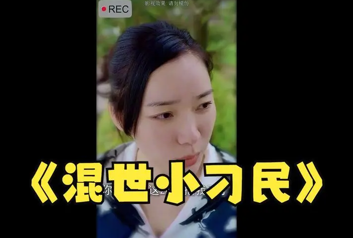 混世小刁民全集