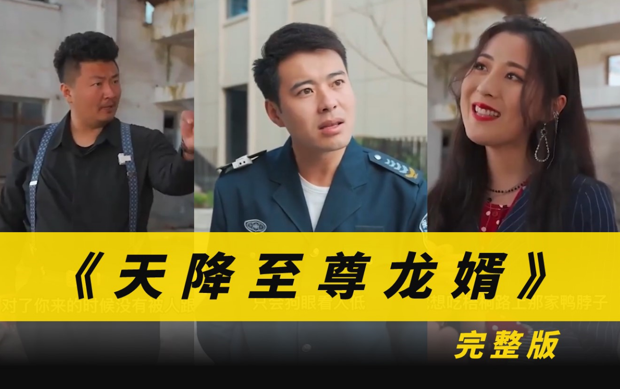 天降至尊龙婿全集