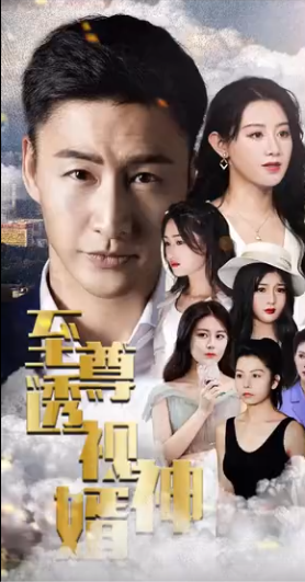 至尊透视神婿全集